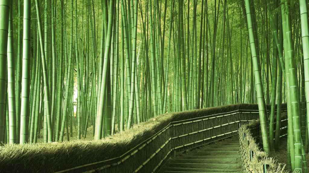 arashiyama-2