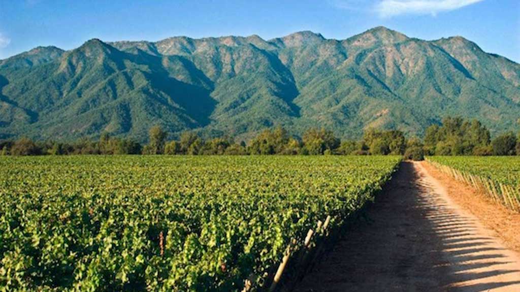 argentina-chile-casablanca-wine-valley