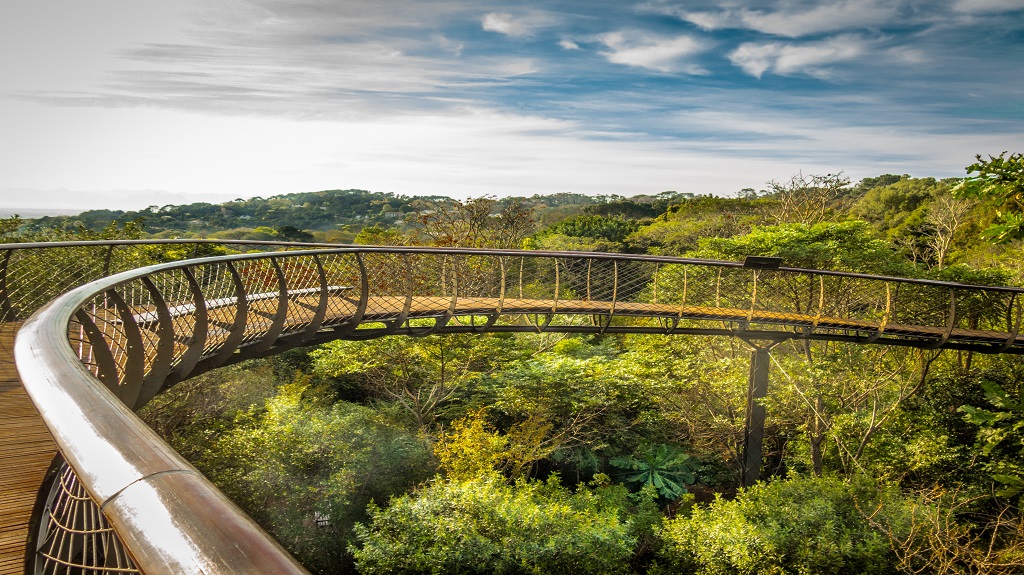 Boomslang Tree canopy walkway. Cape Town, South Africa.