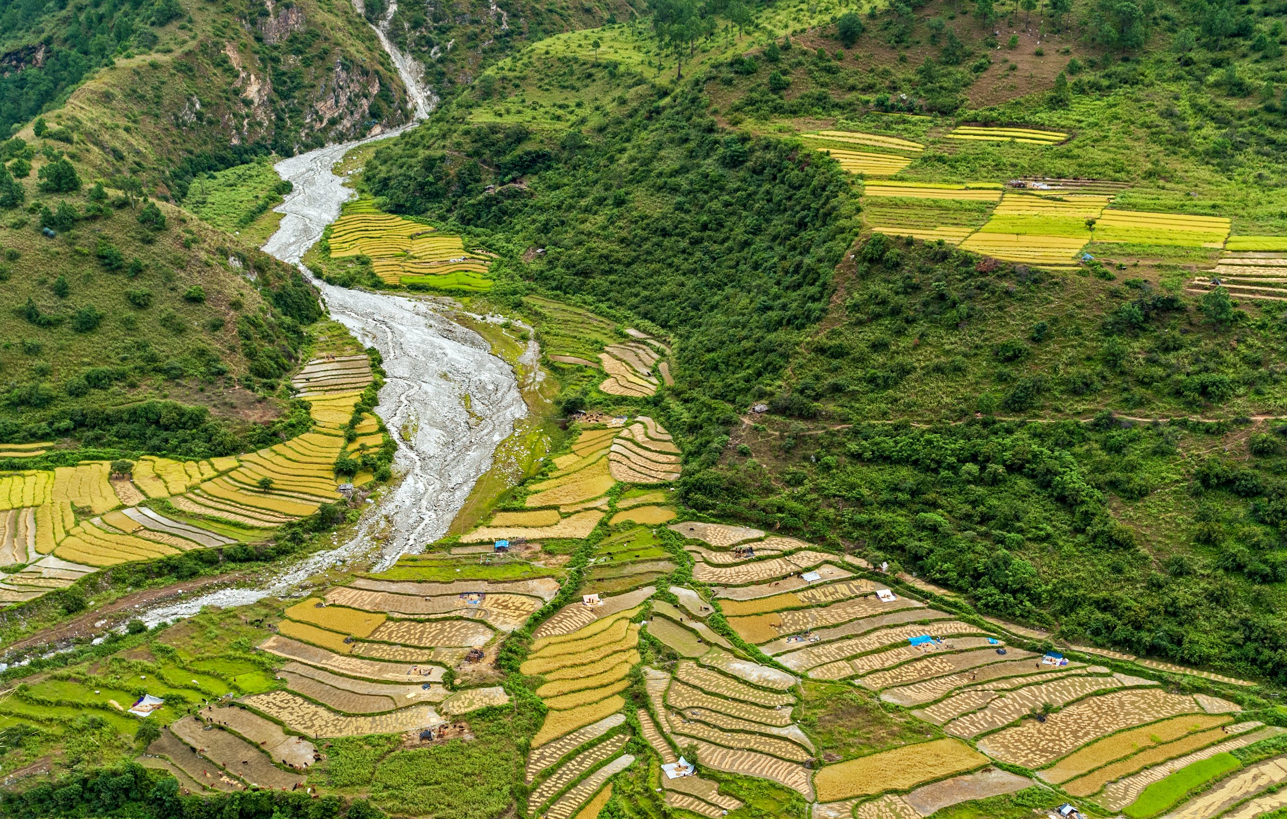 Picturesque agricultural landscape in rural Bhutan