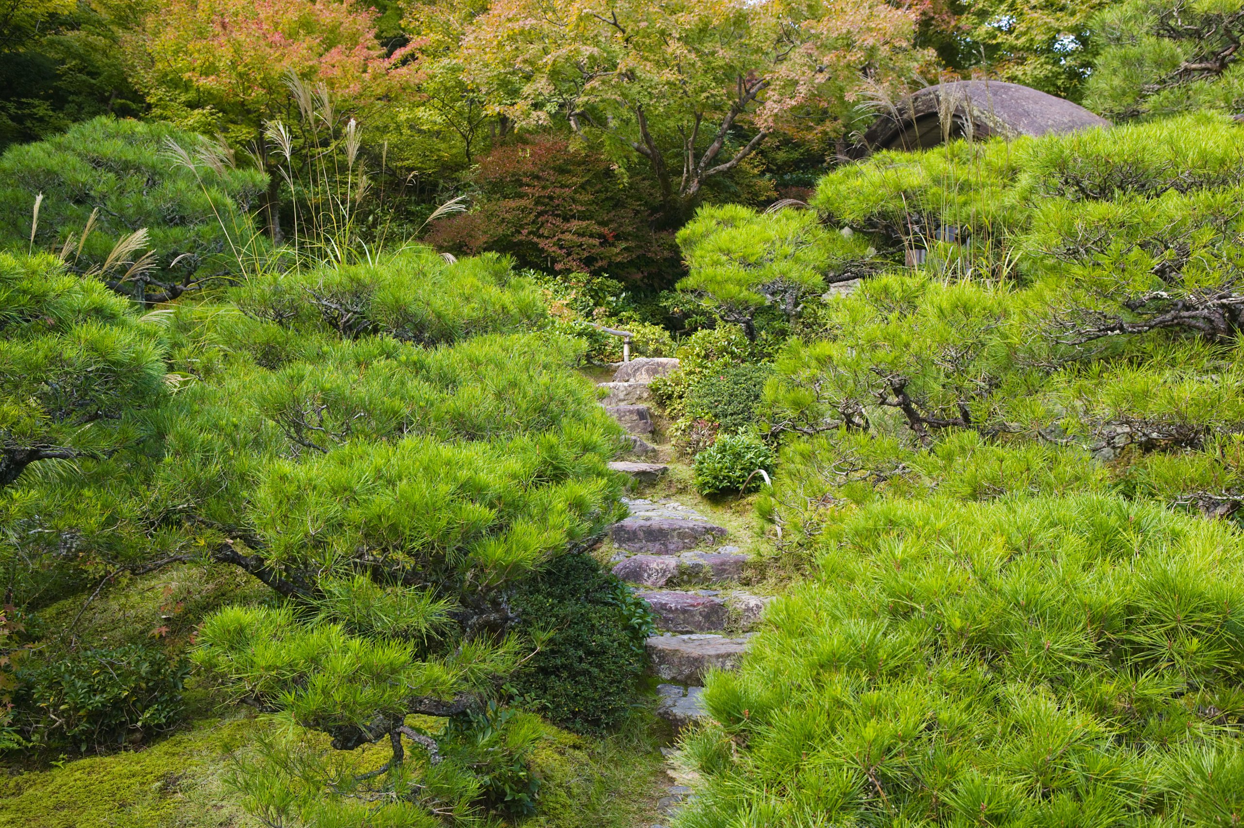 Kyoto, Japan, Okochi Denjiro, stone steps in garden