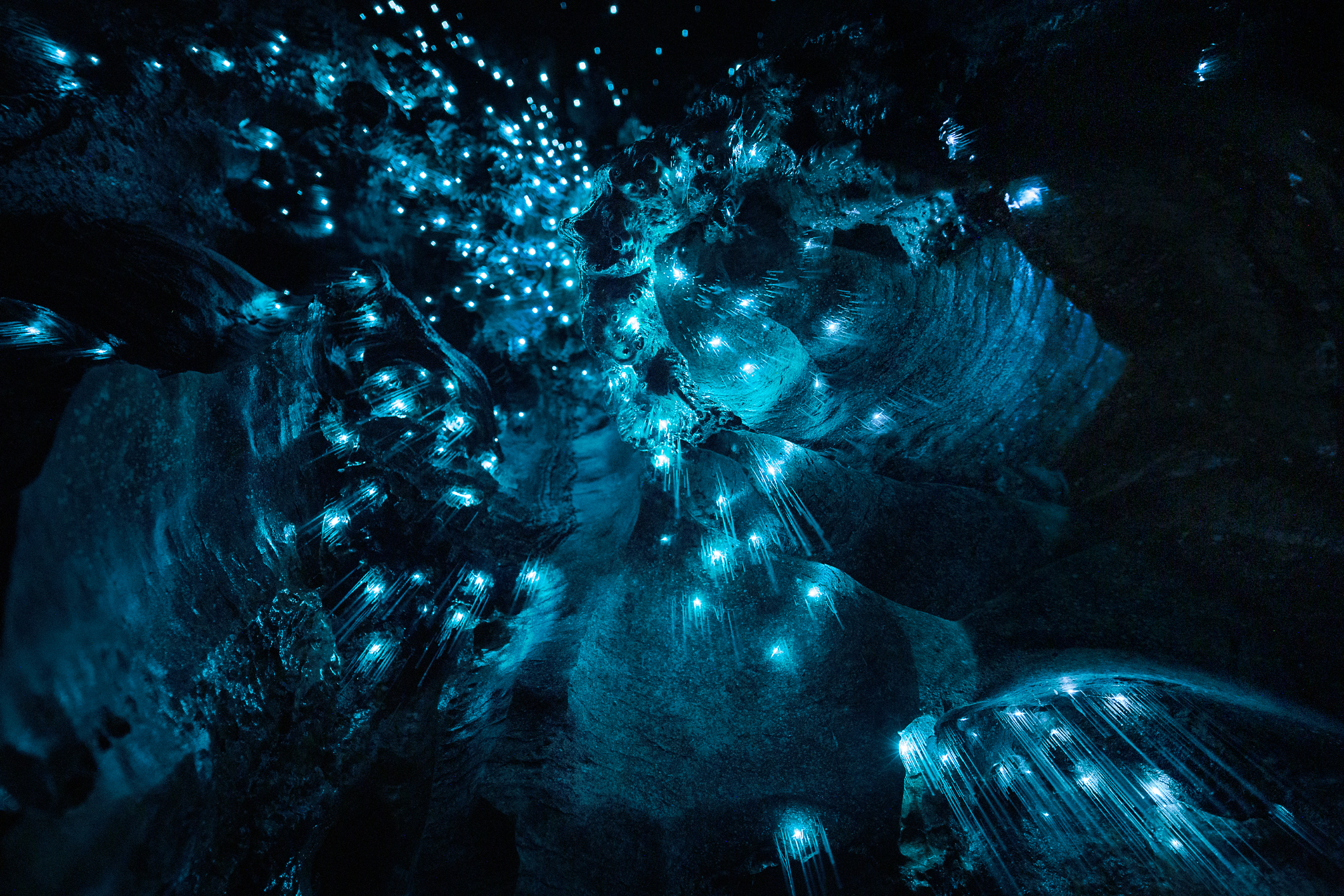 Abstract Art of Nature – Close Up of New Zealand Glow Worms in Cave