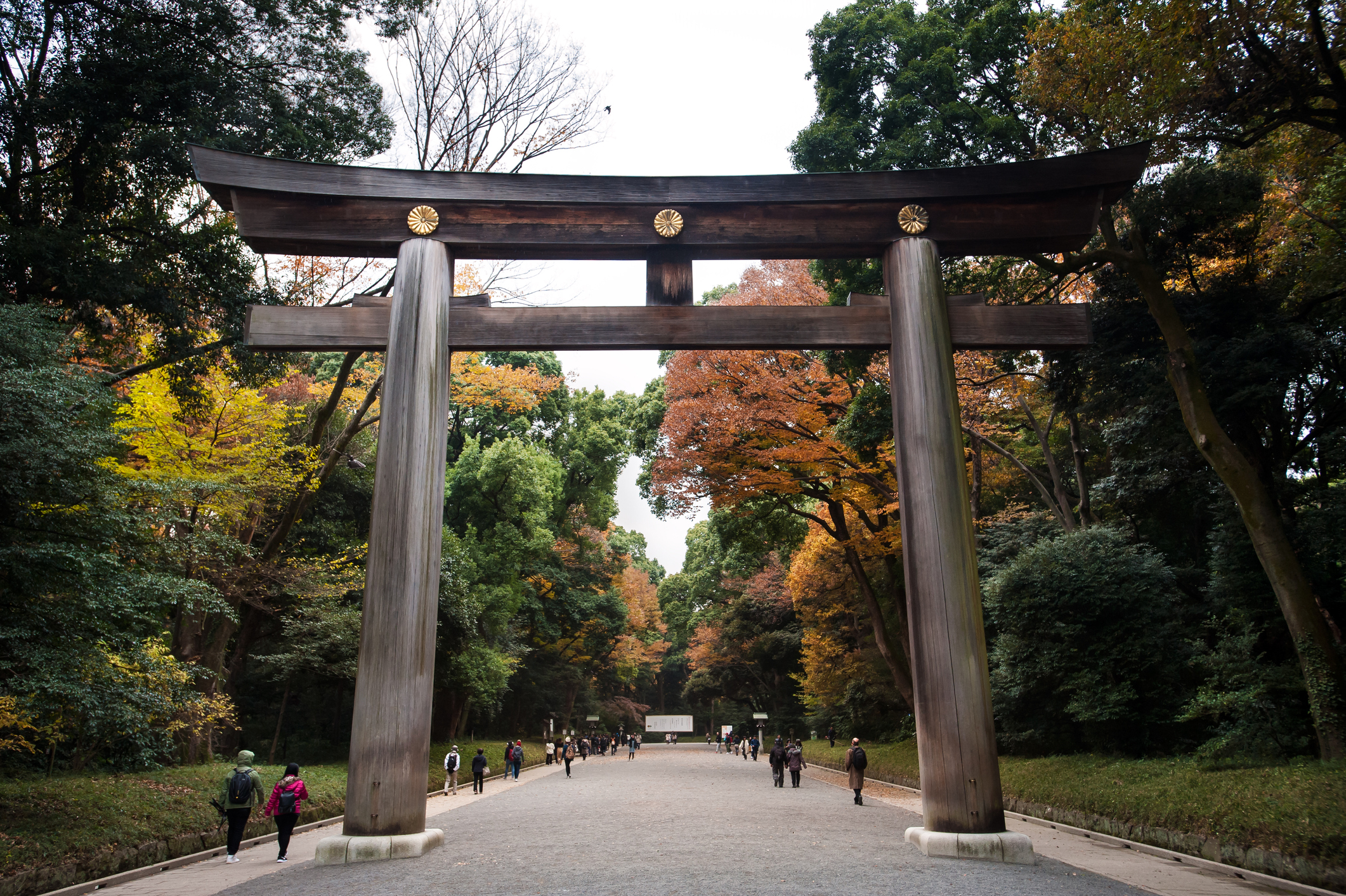 Large torii gate at the entrance to the Meiji Shrine, Shibuya, Tokyo, Japan