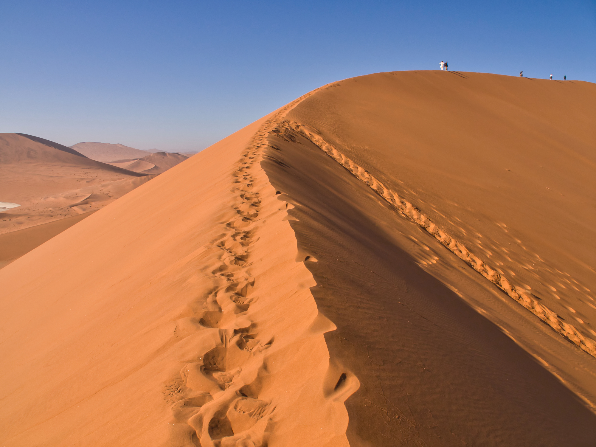 The highest sand dune in the world; the Big Daddy on the edge of the Deadvlei