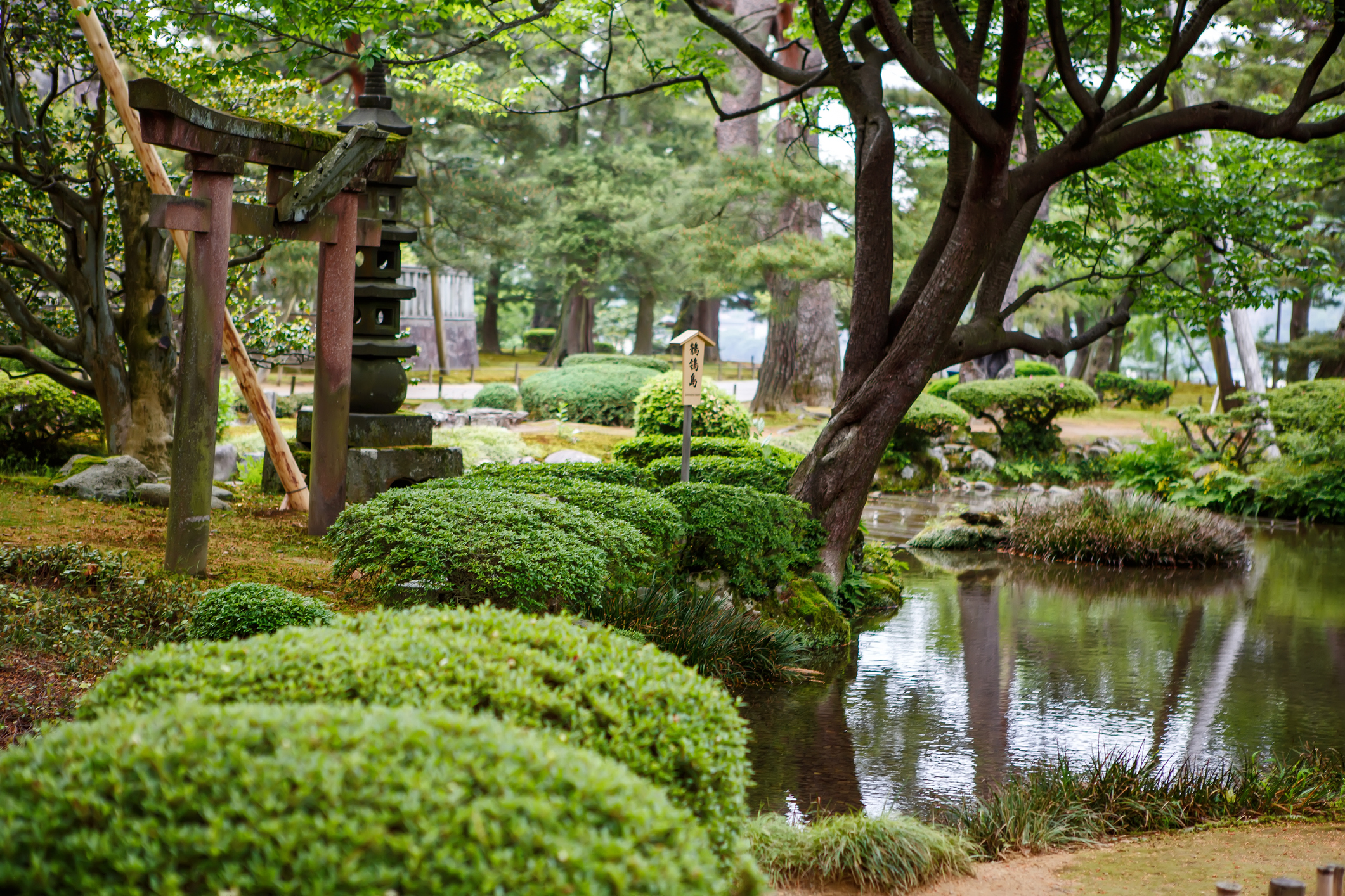 Kenroku-en garden, located in Kanazawa, Ishikawa, Japan, is an old japanese traditional garden. Along with Kairaku-en and Koraku-en, Kenroku-en is one of the Three Great Gardens of Japan.