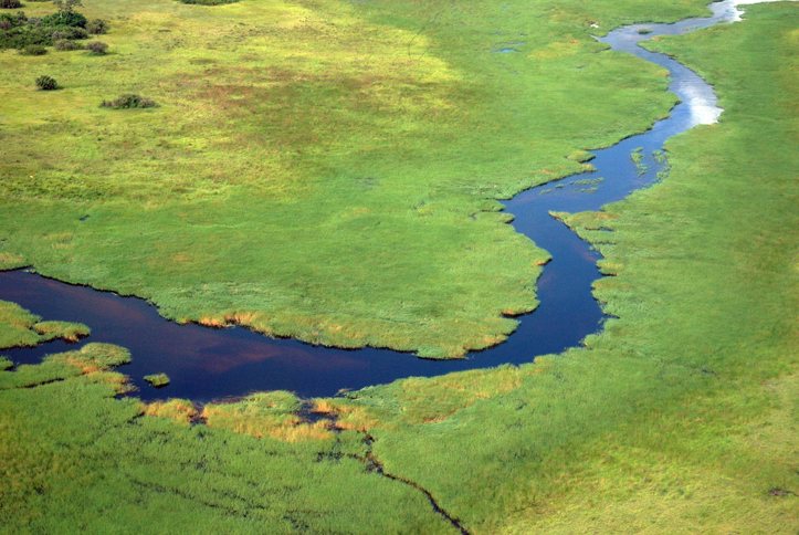 Aerial view of a river in the Okavango Delta