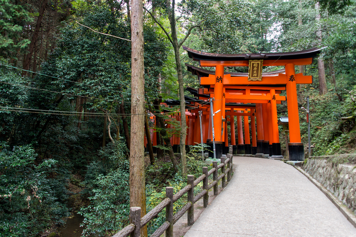 Red Torii gates at Fushimi Inari Shrine