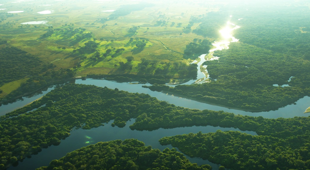 Aerial view of the wetlands of the Pantanal of Mato Grosso, Brazil