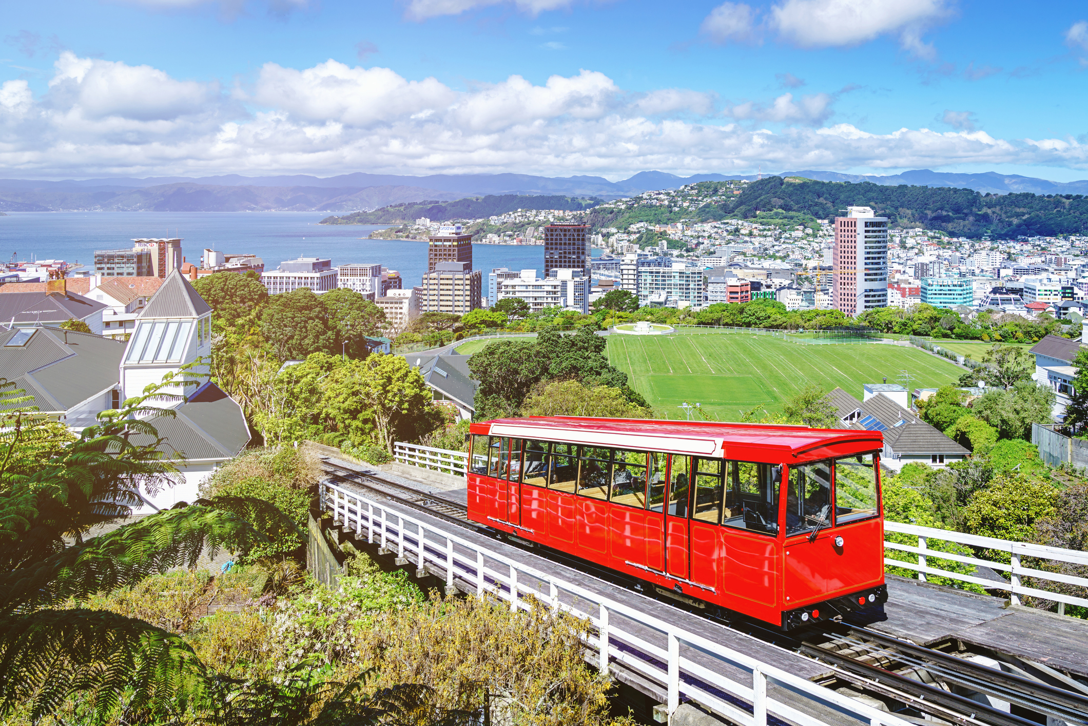Wellington Cable Car Trolley Cityscape in Summer,New Zealand