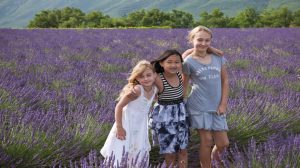 ZenSofieCocoLavander