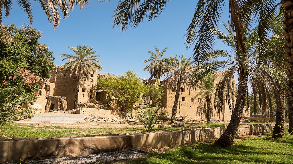 Old mud houses and palm tree in the old village of Al Hamra (Oman)