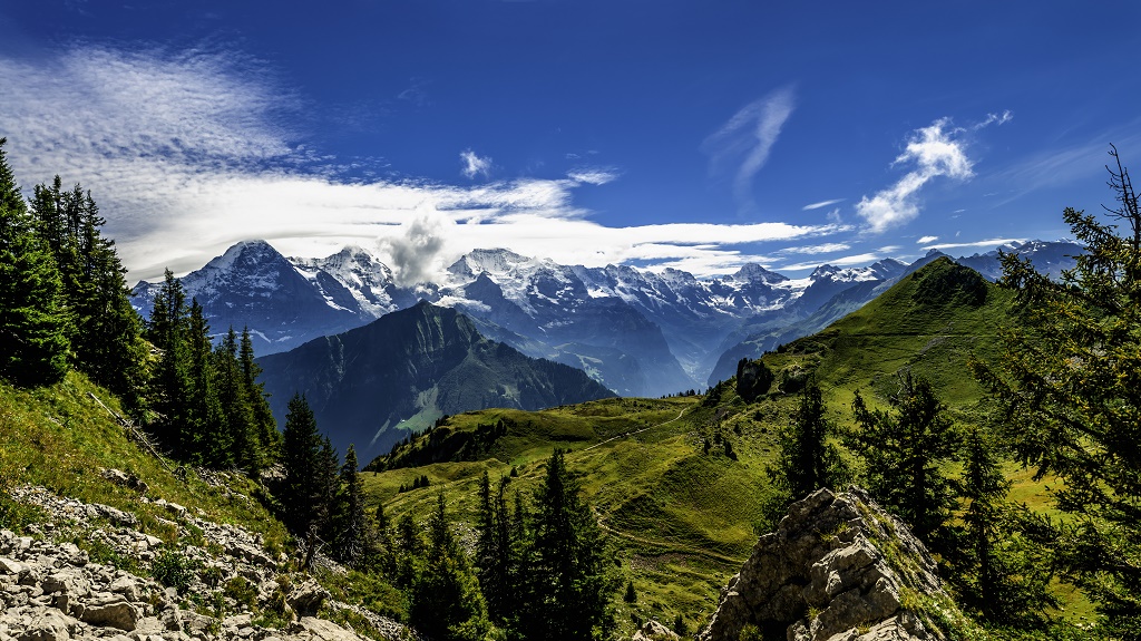 Bernese Alps panorama from Schynige Platte – V