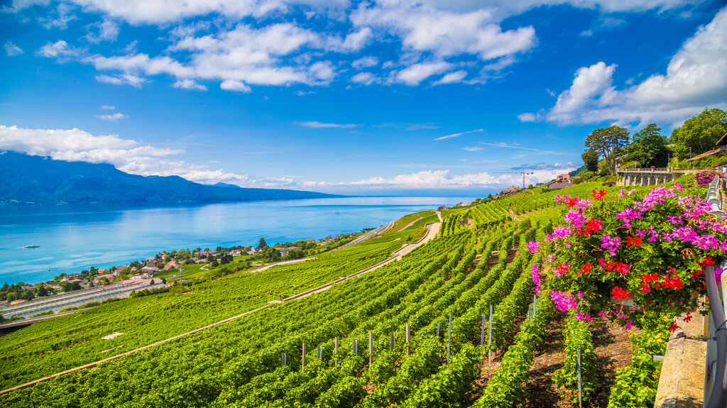 Lavaux wine region at Lake Geneva, Switzerland