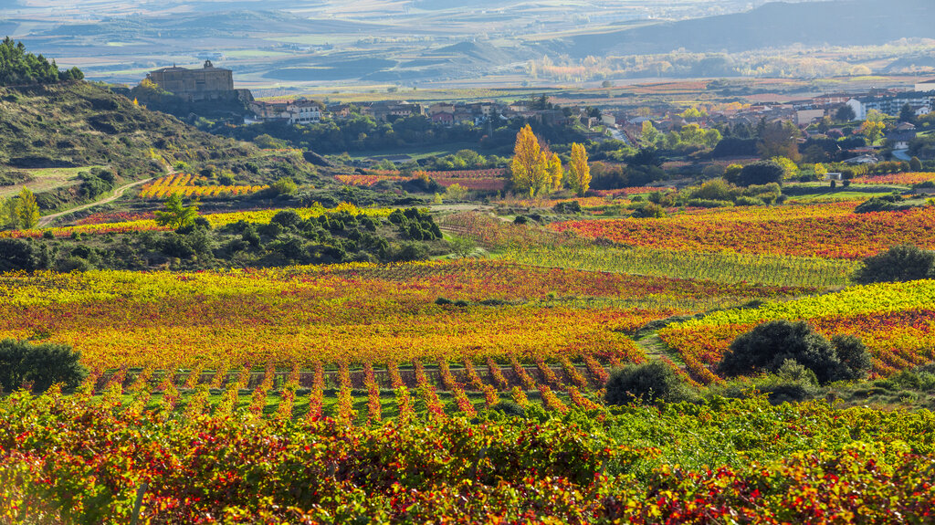 Landscapes and vineyards in Rioja alavesa.