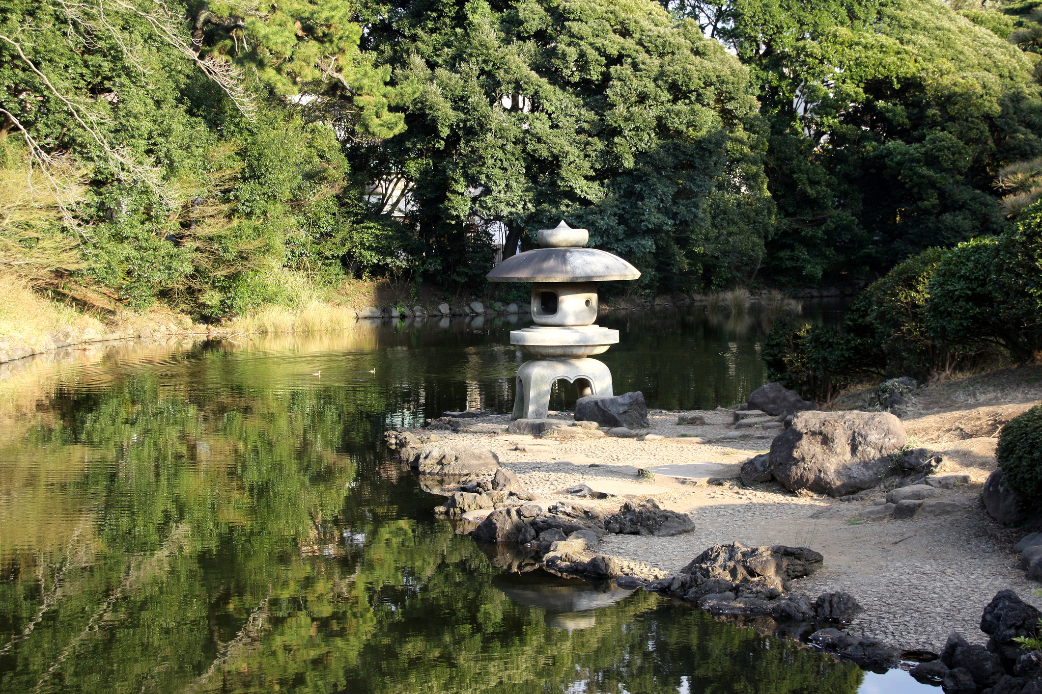 Ancient stone lantern and pond,  Shinjuku Gyoen national garden, Shinjuku district, Tokyo, Japan