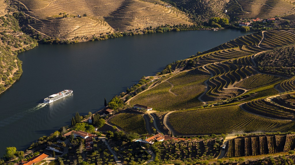 UNESCO World Heritage, the Douro Valley beautiful endless lines of Vineyards.