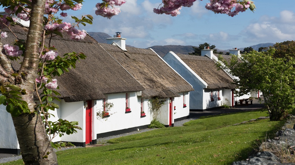 Traditional cottages with thatched roof in Galway, Ireland
