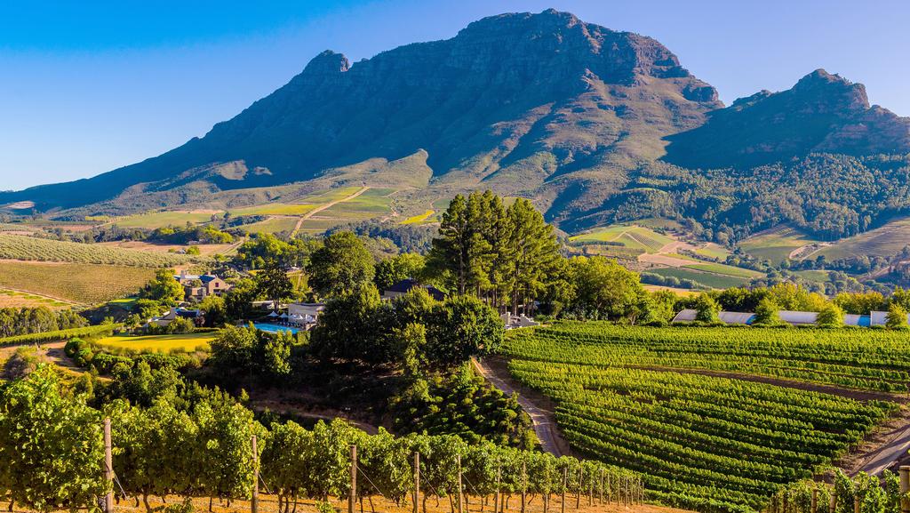 winelands